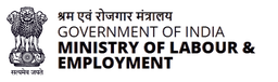 Support Icon