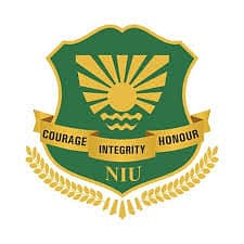 Noida International University